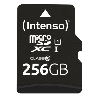 Intenso 256GB microSDXC UHS-I Performance