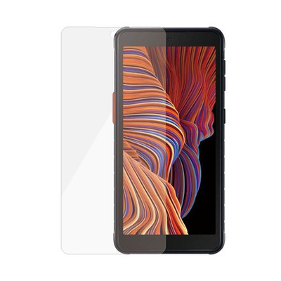 PanzerGlass Samsung Galaxy Xcover 5 / Screen Protector *BULK