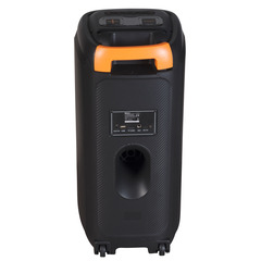 Denver BPS-458 Schwarz, Bluetooth, Lautsprecher, USB, AUX In, Mikrofon-Eingang (6,3 mm Klinke)