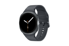 Samsung Galaxy Watch8 SM-L320 40 mm, Dark Gray