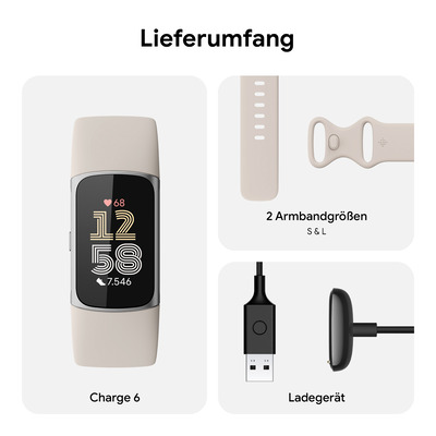 Charge 6, Porcelain Band / Silver Aluminium Case